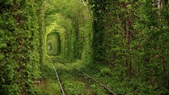 Landscapes nature Ukraine railway tunnels trains