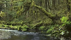 Landscapes nature USA