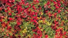 Landscapes nature USA