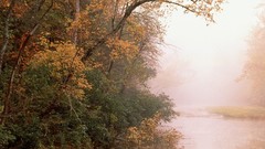 Landscapes nature USA