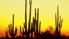 Landscapes nature USA