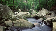 Landscapes nature USA