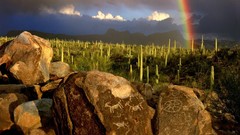 Landscapes nature USA