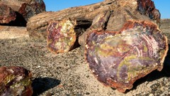 Landscapes nature USA