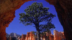 Landscapes nature Utah bryce canyon