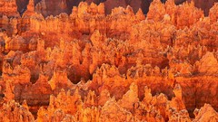 Landscapes nature Utah national park bryce canyon