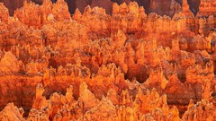 Landscapes nature Utah national park bryce canyon