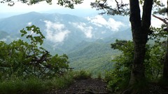 Landscapes nature valleys