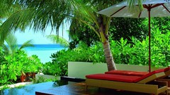 Landscapes nature vegetation chairs tropics Maldives palm trees 