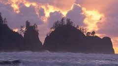 Landscapes nature Washington Beaches national park