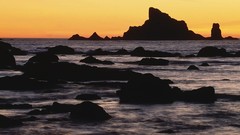 Landscapes nature Washington Beaches national park