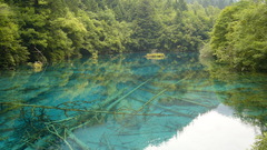 Landscapes nature water