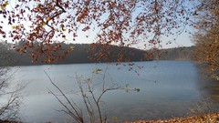 Landscapes nature water autumn