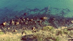 Landscapes nature water Beaches sidna youchaa