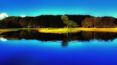 Landscapes nature water blue reflections perspective forests