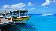 Landscapes nature water Bora Bora Taxi French Polynesia