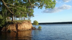 Landscapes nature water branches coast clay