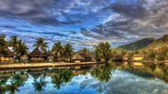 Landscapes nature water clouds palm trees lakes HDR Photography 