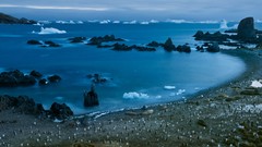 Landscapes nature water cold ice Penguins Islands United 