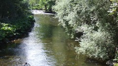 Landscapes nature water Green germany rivers 2006
