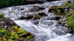 Landscapes nature water Green rocks wildlife reality