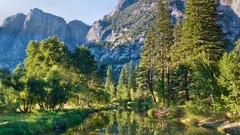 Landscapes nature water Mountains cliff forests pine trees