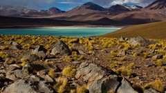 Landscapes nature water Mountains clouds Plants rocks Atacama 