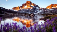 Landscapes nature water Mountains lakes multicolor Wildflowers