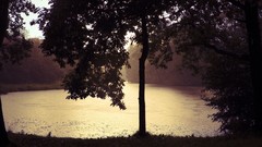 Landscapes nature water rain summer Park brown Russia saint 