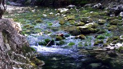 Landscapes nature water rivers