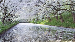 Landscapes nature water rivers