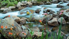 Landscapes nature water rivers