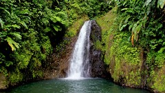 Landscapes nature water serenity waterfalls forests caribbean 