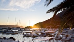 Landscapes nature water ships palm trees blue skies