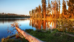 Landscapes nature water summer lakes
