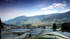 Landscapes nature water terraces