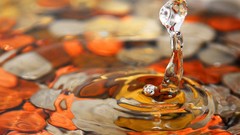 Landscapes nature water water drops