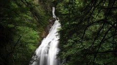 Landscapes nature water waterfalls forests