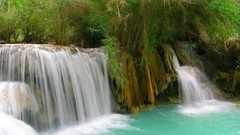 Landscapes nature water white foliage Green Plants waterfalls 