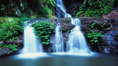Landscapes nature water white Green moss Plants lagoon 