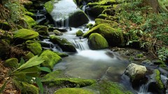 Landscapes nature waterfalls