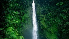 Landscapes nature waterfalls