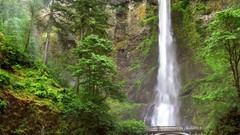 Landscapes nature waterfalls