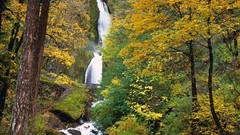 Landscapes nature waterfalls