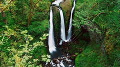 Landscapes nature waterfalls