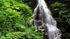 Landscapes nature waterfalls