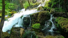 Landscapes nature waterfalls