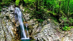 Landscapes nature waterfalls