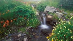 Landscapes nature waterfalls