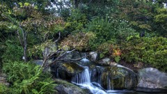 Landscapes nature waterfalls